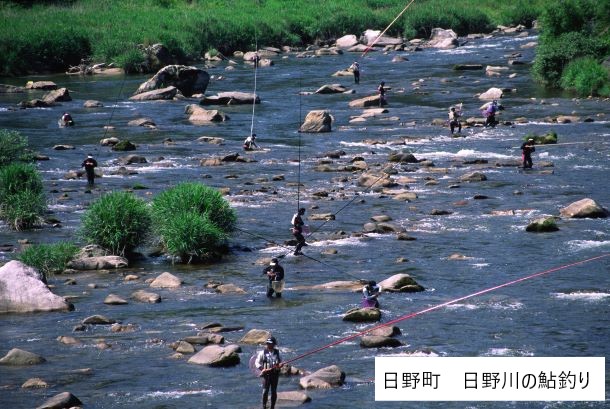 日野町　日野川の鮎釣り